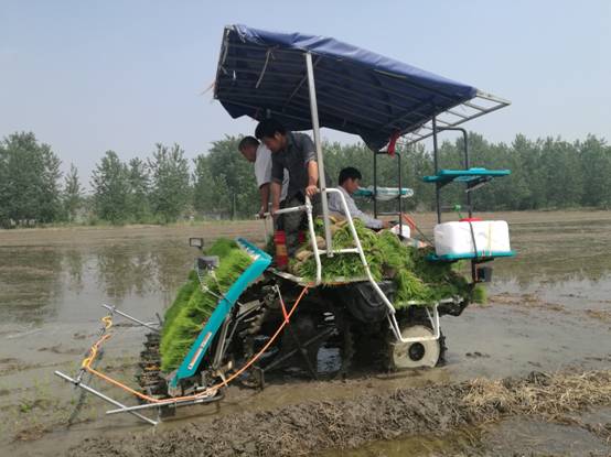  國家重點研發項目“江蘇單季粳稻區水稻化肥農藥減施增效技術集成與示范” 技術培訓與現場觀摩指導會在淮安召開